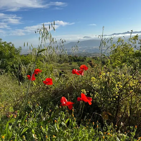 Niloamna * Kritou Terra