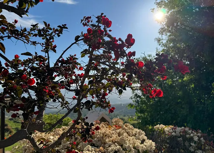 Niloamna Lägenhet *