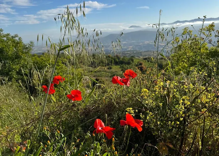 Niloamna * Kritou Terra